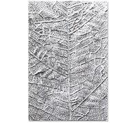 Sizzix Classeur de gaufrage 3-D Textured Impressions 664488, Nervures de feuilles de Sizzix