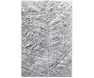 Sizzix Classeur de gaufrage 3-D Textured Impressions 664488, Nervures de feuilles de Sizzix
