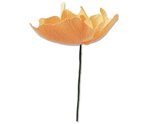 Sizzix Embelissements pour découpes pour Scrapbooking, Plastique, California Poppy, Taille unique