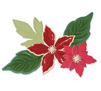 Sizzix Framelits Lot de 6 matrices avec timbres - Fleurs de saison par Lisa Jones, 665331