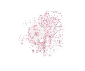 Sizzix Framelits Matrices et tampons - Mélange floral par 49 and Market, transparent/argenté