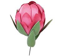 Sizzix Matrice de dcoupe Bigz Protea d'Olivia Rose, 665495