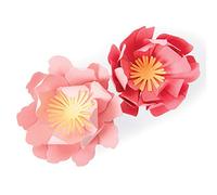 Sizzix Matrice de découpe Bigz 663860, Fleurs d'Été de Jennifer Ogborn, Multicolore, Taille unique