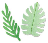 Sizzix Matrice de decoupe Bigz Doodle Leaves par Olivia Rose | 666028 | Chapitre 4 2022 SRD, Aluminium, Multicolour, Taille Unique