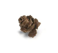 Sizzix Matrice De Découpe Bigz - Pomme De Pin En Lambeaux Par Tim Holtz