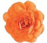 Sizzix Matrice Thinlits de découpe 3Pom Olivia Rose | 666022 | Chapitre 4 2022 Wafer, Pom-Pom Flower, Taille Unique