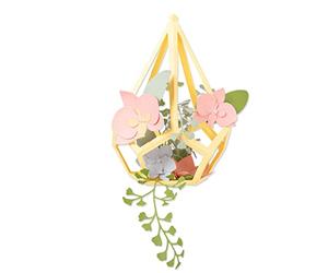 Sizzix Matrice de découpe Thinlits Set de 12pcs 664366 Terrarium en Forme de Goutte d'eau, Multicolore, Taille unique