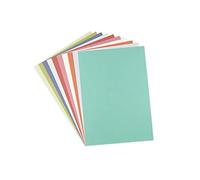 Sizzix Surfacez 665276 Lot de 60 feuilles de papier cartonné A4 (10 couleurs botaniques) Multicolore Taille unique