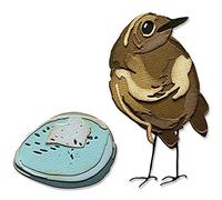 Sizzix Thinlits Die Set 11PK Bird & Egg Colorize par Tim Holtz, 665857, Papier, Multicolor, Taille unique