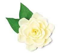 Sizzix Thinlits Die Set 4PK Gardenia par Jennifer Ogborn | 665885 |Chapitre 2 2022, Taille Unique