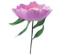 Sizzix Thinlits Die Set 5PK Wild Peony av Lisa Jones, 664926