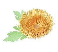 Sizzix Thinlits Lot de 5 matrices - Chrysanthèmes par Kath Breen, 665333