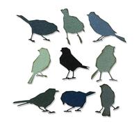 Sizzix Thinlits Silhouette Oiseaux Précis - Set de Matrices de Découpe par Tim Holtz - Pour Créations élégantes Inspirées de la Nature - 9 Pièces