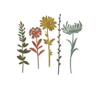Sizzix Thinlits Tiges de Fleurs Sauvages #1 - Set de Matrices de Découpe Complexes par Tim Holtz - Pour Créations Botaniques en Papier - 5 Pièces
