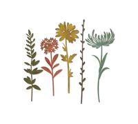 Sizzix Tiges de Fleurs Sauvages # 1 Matrice, Multicolore, Taille Unique