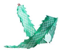 SJHDUNBW EUR Dragon Dance Streamer Fitness 19,7 Pieds 26,2 32,8 39,4 Longue portée for Ruban Jouet for Enfants Enfants Débutants(Groen,8m/26.2ft)