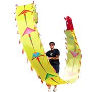 SJHDUNBW EUR Ruban de Dragon 3D en Forme de cerf-volantAvec Une tête de dragonUn Cadeau for Le Divertissement carré, la Paix et la Bonne Chance.(8m/26ft)