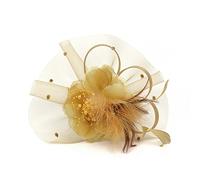 SJTJSPX Fascinator Chapeau de Mariage Femme Chapeau Bibi Elégante Voilette Voile Mariée Bandeau et Clip Dames Day Coiffure Vintage Plume Pince à Cheveux Déguisment Soirée Fête Cocktail Tea Party