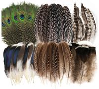 Sjzg-48 Pièces Plumes Loisirs Creatifs Naturelles, 6 Styles Plumes De Paon Plumes De Faisan Plumes De Dinde, Plumes D'artisanat Pour Diy Costumes Chapeaux Fete Mariage Décoration