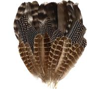 Sjzg-Lot De 30 Plumes Naturelles De Dinde, Plumes Artisanales, Plumes De Faisan Pour Travaux Manuels, 3 Styles De Plumes Naturelles Mélangées Pour Masque, Décoration De Fête De Mariage, Attrape-Rêves