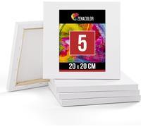 Sjzg-Lot De 5 Toiles A Peindre 20x20cm - Toile Peinture Acrylique/Huile/Gouache - Toile Vierge/Sans Acide / 100% Coton - Canvas Avec Chassis Bois
