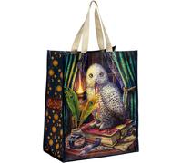 Sjzg-Sac Shopper - Hibou - Guardian Of Spells Owl - Lisa Parker, Noir, Contemporain