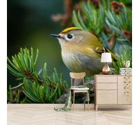 SK-YBB Murale Panoramique Chardonneret Intissé Wallpaper 350 * 256 cm Animaux Mignons Pour Salon Chambre Décoration Murale