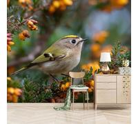 SK-YBB Papier Peint Panoramique 3D Chardonneret intissé Couleurs Mural 200 * 140 cm Animaux Mignons Pour Salon Chambre Décoration Murale