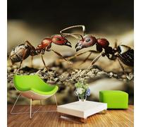 SK-YBB Papier Peint Photo Mural 150 * 100 cm Fourmi Poster Tapisserie Mural Personnalisé 3D Animal Pour Salon Chambre Décoration
