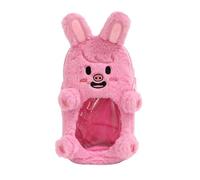 Sk-zoo Ita Sac avec porte-clés « Stay » 21 x 11 cm Sac transparent Stray-Kids Sac de présentation Wolf Chan Jiniret Bbokari Trousse de papeterie, Dwaekki, 21*11*4 cm