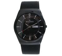 Skagen Montre-Bracelet Titan Inox SKW6006