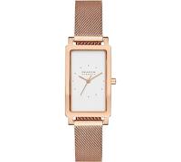 Skagen Montre pour femme Hagen, mouvement à quartz/3 aiguilles, boîtier de 22 mm, bracelet en maille d'acier inoxydable SKW3095