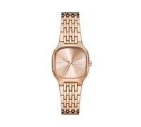 Skagen Watch SKW3166