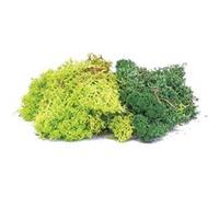 Skale Scenics Lichen - Green Mix - Humbrol G