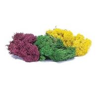 Skale Scenics Lichen - Large Autumn Mix - Humbrol G