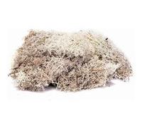Skale Scenics Lichen - Stone Grey - Humbrol G
