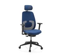 Skandis Pro | avec appui-tête | Structure : Noir - Siège de bureau de qualité professionnelle Bleu