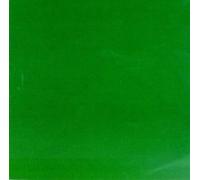 Skankin' Pickle - Green Album