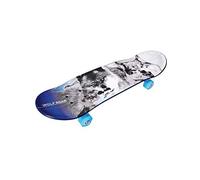 Skate 28'' Composite - Design Effet Metal - Truck PP Composite - Roues PVC 50 x 36 mm -roulements 608 ZZ