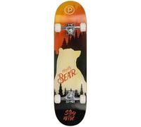 Skate PLAYLIFE Mighty Bear 31x8