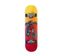 skateboard 31 pouces - aggro skater