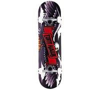 Skateboard complet Tony Hawk planche à roulettes d'entrée de gamme professionnelle série débutant Tony Hawk original garanti