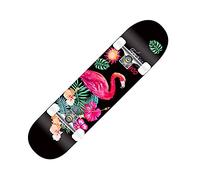 Skateboard pour Enfants, Skateboard 31", Complet 8 Plis érable concave Cruiser, Skateboards for garçons Adolescents Adultes débutants(28)