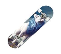 Skateboard, Skateboards complets 31 x 8 Pouces for Enfants, Adolescents, débutants et Adultes, Double Kick Deck concave Cruiser Trick Skateboard(39)