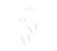 Skates Souris - Tiger Gaming - Arc1 Maus-Skates pour Cherry Xtrfy M4