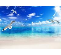 skdhlifpj Papier Peint Dehors 3D intissé Tapisserie Murale Plage De Sable En Dehors De La Fenêtre Mer Bleue Goéland Paysage 430cmx300cm Salon Chambre Adulte Zen Mural