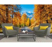 skdhlifpj Papier Peint Forêt tropicale 3D intissé Tapisserie Murale Automne Route Neige Montagne Paysage Bois De Bouleaux D'Or 430cmx300cm Salon Chambre Adulte Zen Mural