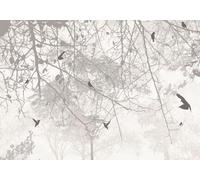 skdhlifpj Papier Peint Noir et blanc 3D intissé Tapisserie Murale Abstrait Bois De Rêve Noir Et Blanc Grand Arbre Oiseau Volant Fond Mur 150cmx105cm Salon Chambre Adulte Zen Mural