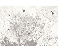skdhlifpj Papier Peint Noir et blanc 3D intissé Tapisserie Murale Abstrait Noir Et Blanc Branches Grand Arbre Oiseau Volant Décor Peinture 350cmx245cm Salon Chambre Adulte Zen Mural