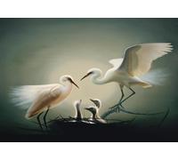 skdhlifpj Papier Peint Oiseaux 3D intissé Tapisserie Murale Blanc Oiseau Volant Nourrissant Nid Tv Fond Mur 400cmx280cm Salon Chambre Adulte Zen Mural